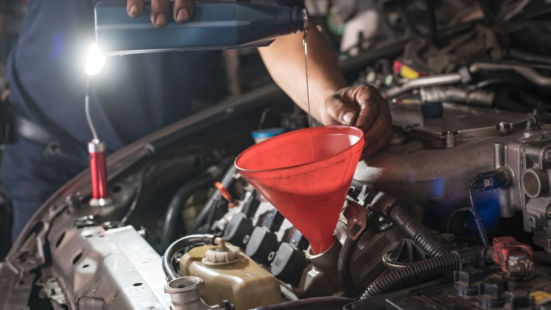 Замена масла — РИА Новости, 1920, 14.11.2022